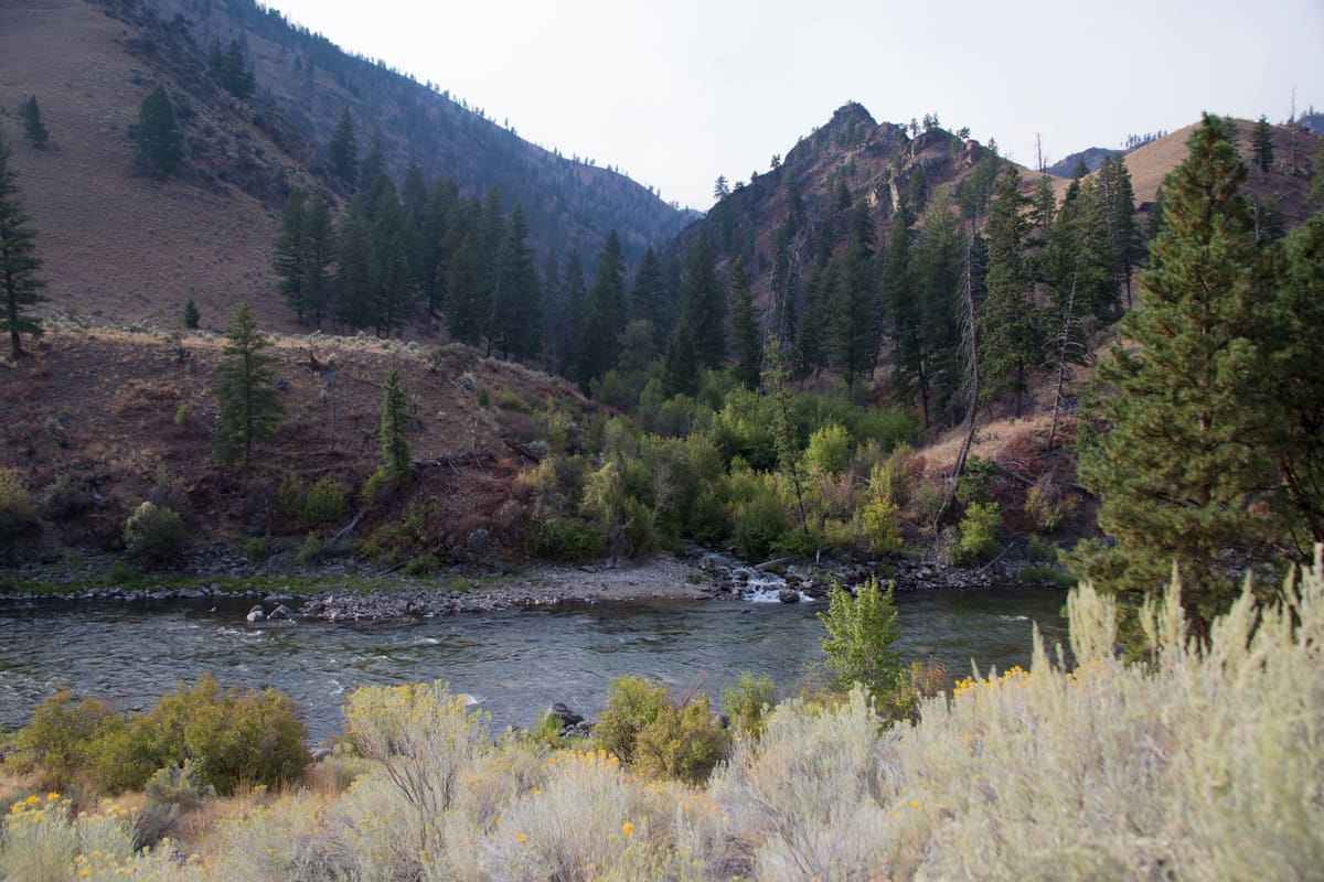 Middle Fork of the Salmon